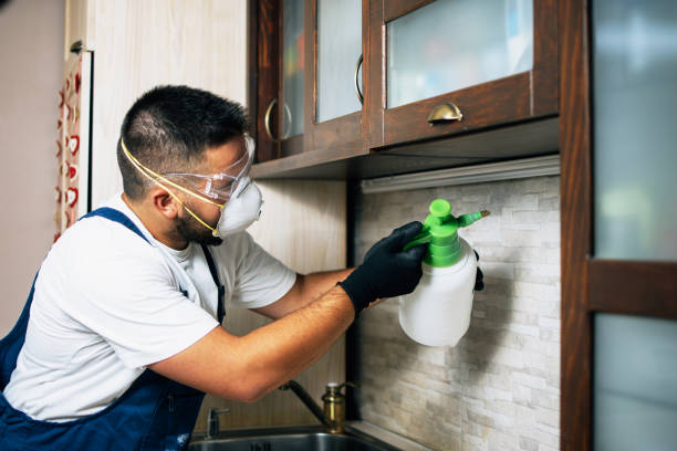 Best Pest Prevention Services  in Orwigsburg, PA