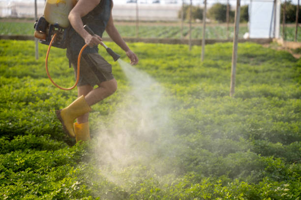 Best Exterminator Services  in Orwigsburg, PA