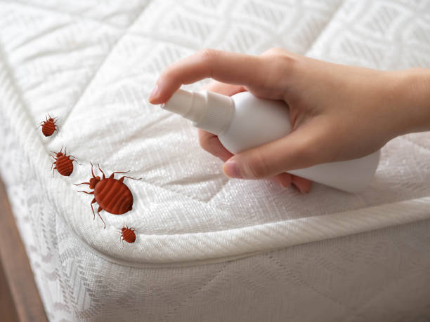 Best Pest Inspection Near Me  in Orwigsburg, PA